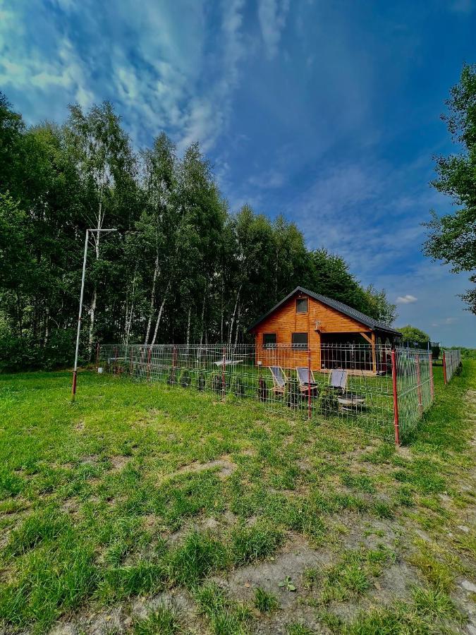 Domek Letniskowy Pod Brzozami Na Roztoczu Wsrod Lasow, Zamosc, Krasnobrod, Zwierzyniec Adamow  Exterior foto